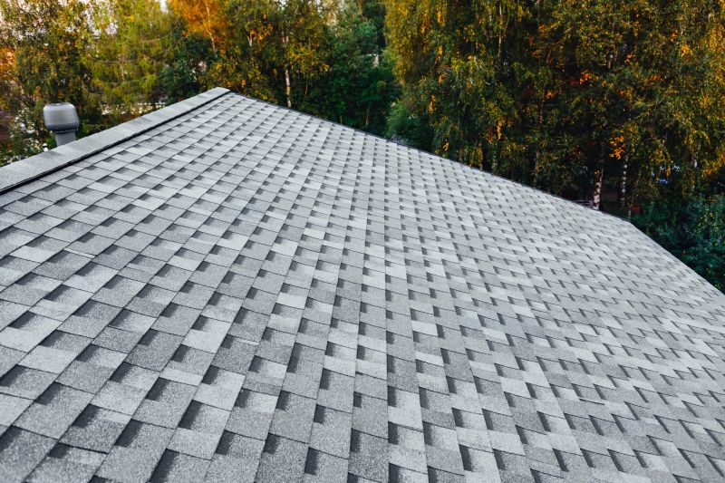 Extended Roof Lifespan