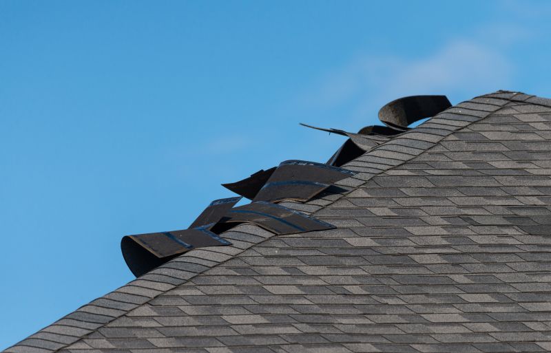 Metal Roofing Repair